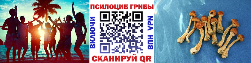 Псилоцибиновые грибы MAGIC MUSHROOMS  blacksprut как зайти  Феодосия 