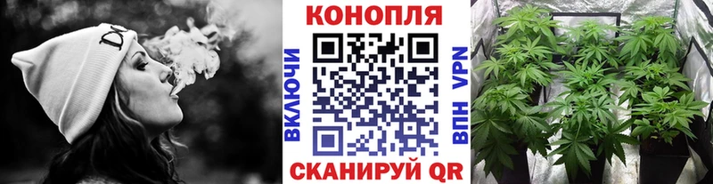 Конопля планчик  Феодосия 